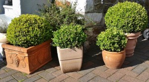 Pots Pots