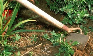 Travaux autonme