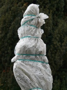 Protection hivernale Protection hivernale